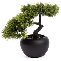 Mű Bonsai fenyő, magassága 25 cm